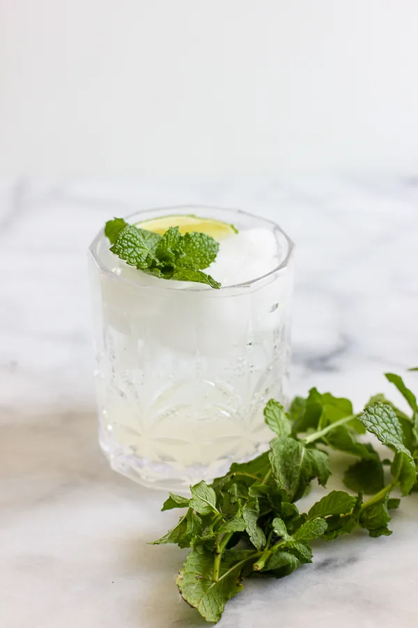 single mojito in a cocktail glass garnished with mint and lime with a sprig of mint next to the glass