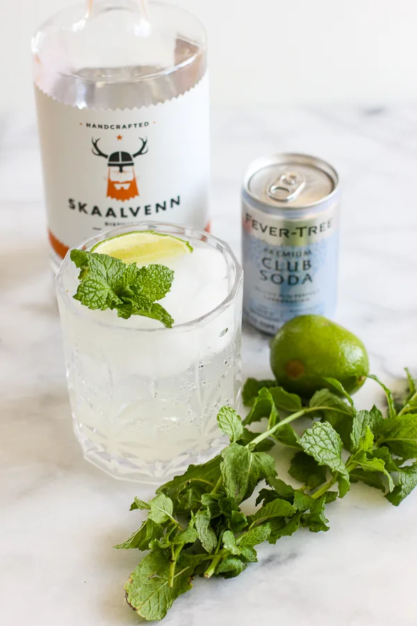 single mojito in cocktail glass along with the bottle of rum, can of club soda, mint sprigs and a lime