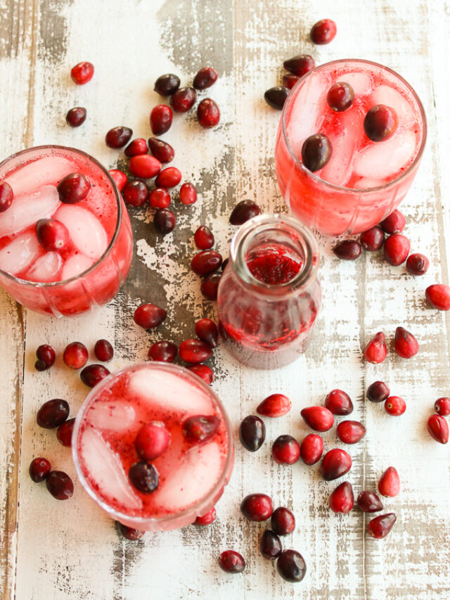 Cranberry Vodka Spritzer – A Holiday Cocktail Recipe Story - Lisa's ...