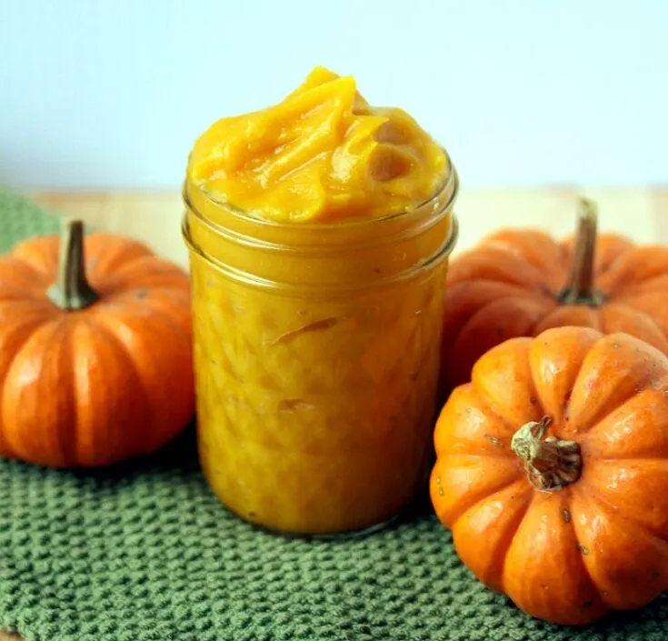pumpkin puree in a jar surrounded by mini pumpkins