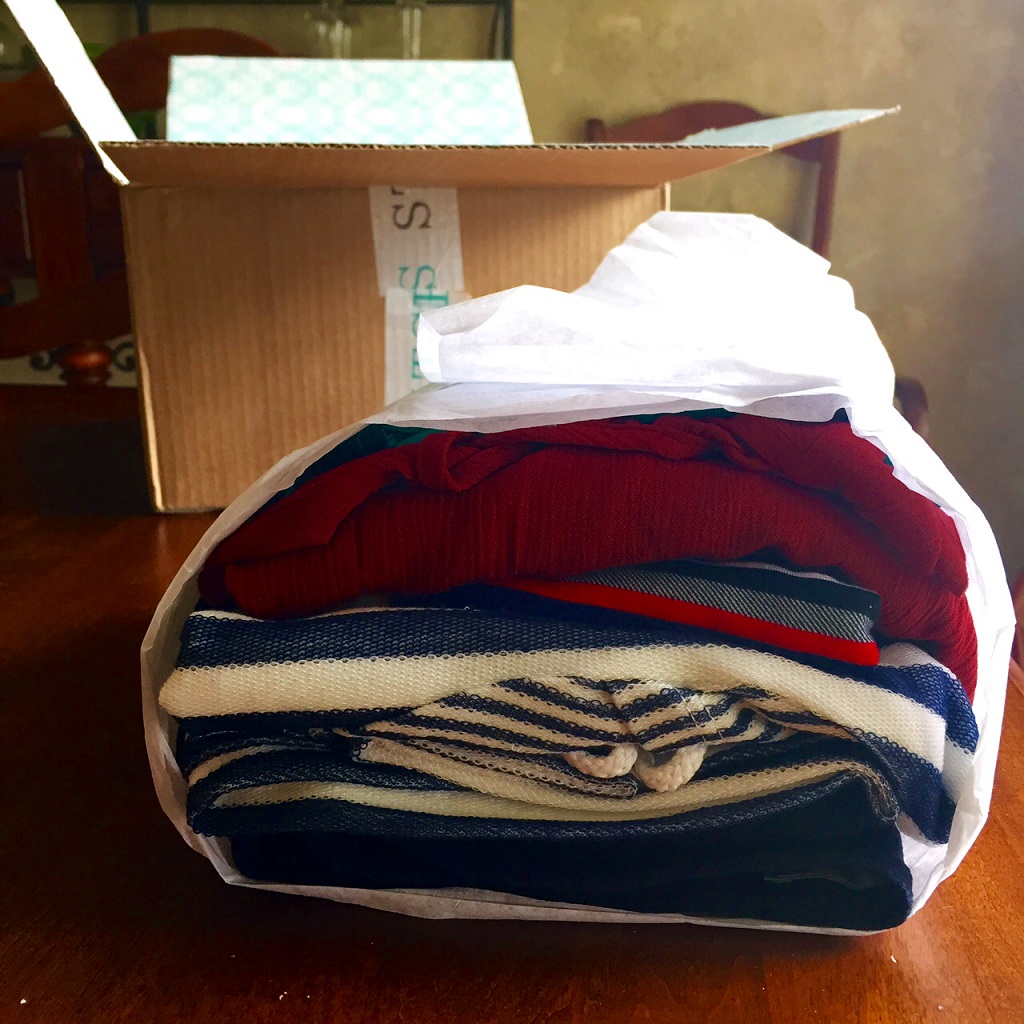 August 2015 Stitch Fix Review - Lisa's Dinnertime Dish
