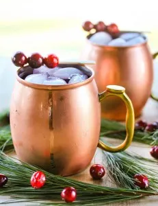 finished Christmas cranberry mule served in a copper mug and garnish with fresh cranberries.