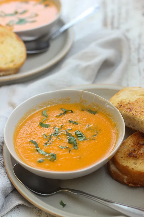 Picture showing what the soup and sandwich look like together on a plate